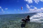 Kite