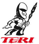 2013-LOGO-TERI